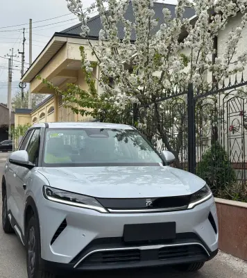 BYD Yuan Up, 2025