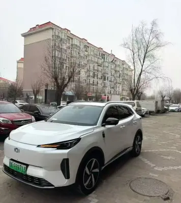 Легковые автомобили Другие марки, 2024