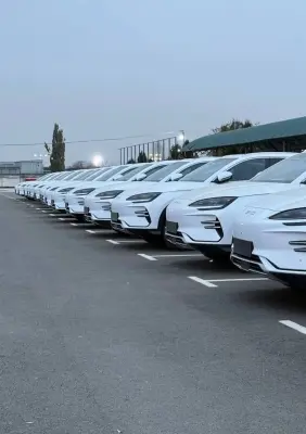 BYD Song Plus, 2025 — миниатюра 9