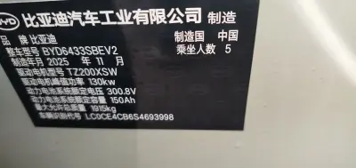 BYD Yuan Up, 2025