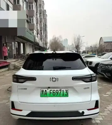 Легковые автомобили Другие марки, 2024