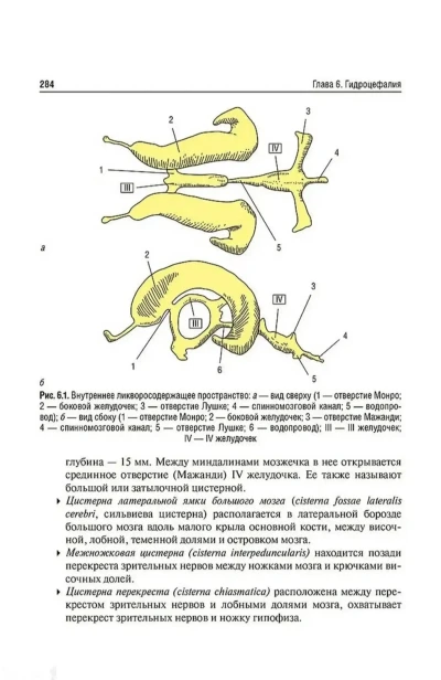Книга Основы нейрохирургии — миниатюра 3