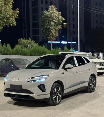 BYD Sea Lion 06, 2025