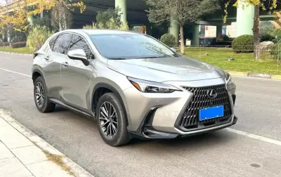Lexus NX series, 2022 на заказ