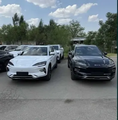 BYD Song, 2025