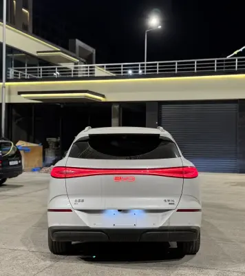 BYD Sea Lion 06, 2025