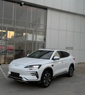 BYD Song Plus, 2025 — миниатюра 8