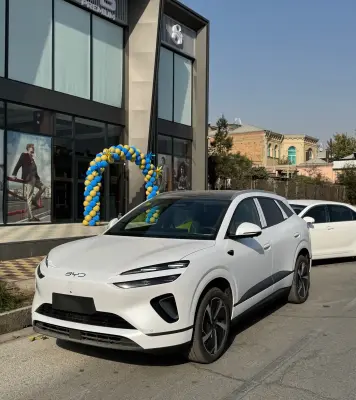 BYD Sea Lion 06, 2025 — миниатюра 6