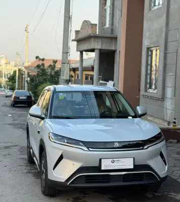 BYD Yuan Up, 2025