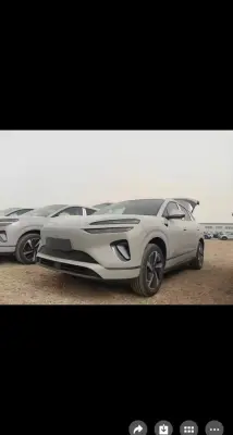 BYD Sea Lion 06, 2025
