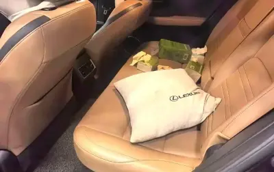 Lexus NX series, 2016