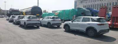 BYD Yuan Up, 2025