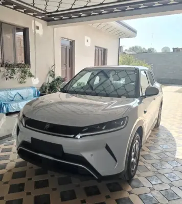 BYD Yuan Up, 2025