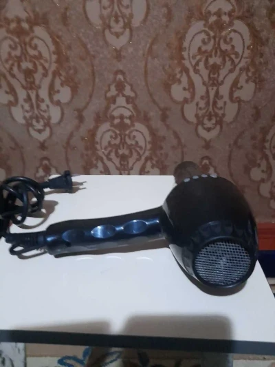 фен — миниатюра 2