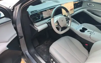 BYD Sea Lion 06, 2025 на заказ — миниатюра 2