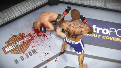 Игра UFC 4 New Update для Ps4 6.72 до 13 — миниатюра 2