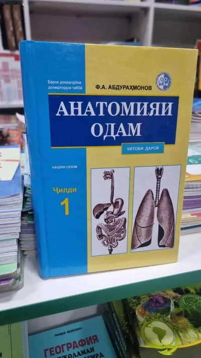 Китоб Анатомия — миниатюра 2