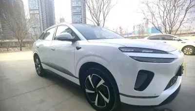 BYD Sea Lion 06, 2025