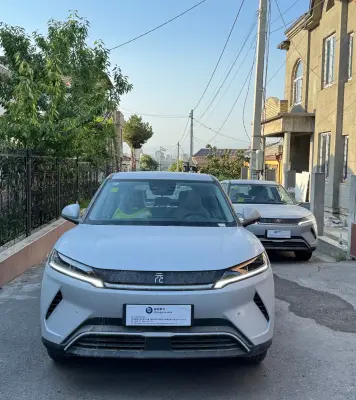 BYD Yuan Up, 2025