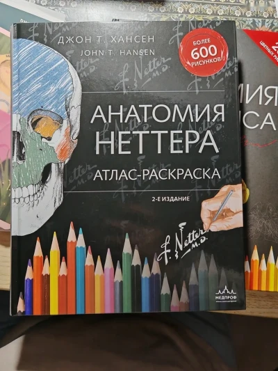 Атлас Анатомия Неттера