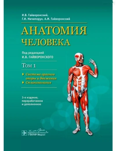Анатомия Человека