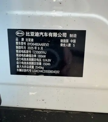 BYD Sea Lion 06, 2025