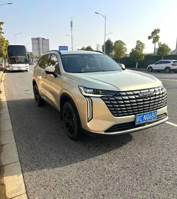 Haval H6, 2024