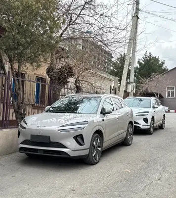 BYD Sea Lion 06, 2025