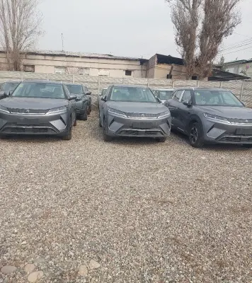 BYD Yuan Up, 2025