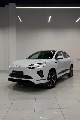 BYD Sea Lion 06, 2025