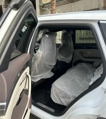BYD Song Plus, 2025 — миниатюра 8