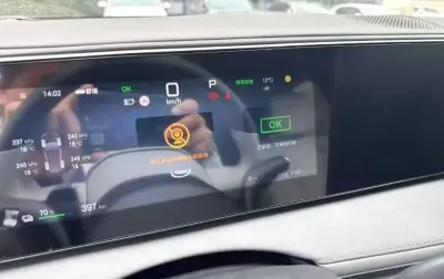 BYD Sea Lion 06, 2025