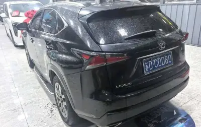 Lexus NX series, 2016