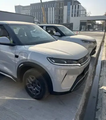 BYD Yuan Up, 2025