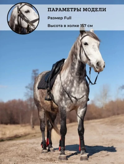 Ногавки для лошадей — миниатюра 5