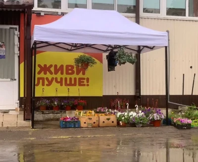 Зонтик