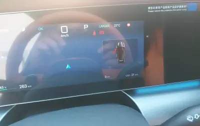 BYD Sea Lion 06, 2025