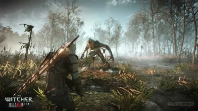 Игра Ведьмак 3 Дикая охота для PS4 6.72 до 12 — миниатюра 3