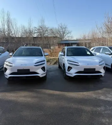 BYD Sea Lion 06 2025