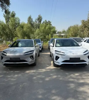 BYD Sea Lion 06, 2025
