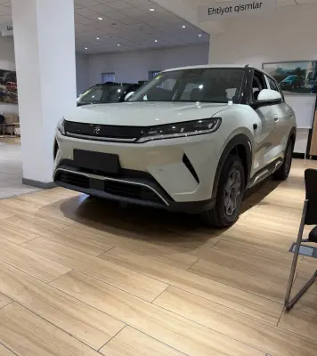 BYD Yuan Up, 2025