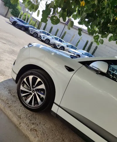 BYD Sea Lion 06, 2025
