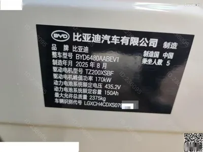 BYD Sea Lion 06, 2025 на заказ