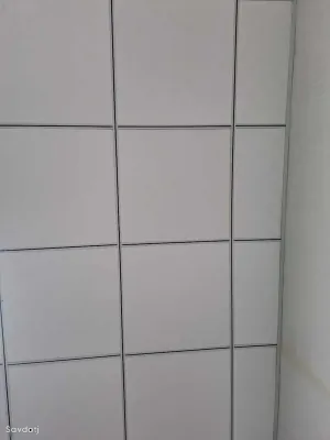 Амстронг иранский
