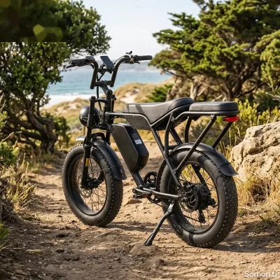 Электрический велосипед 750W fo US