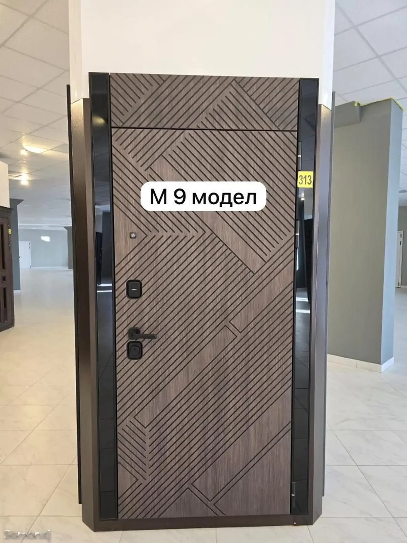 Дверь 220