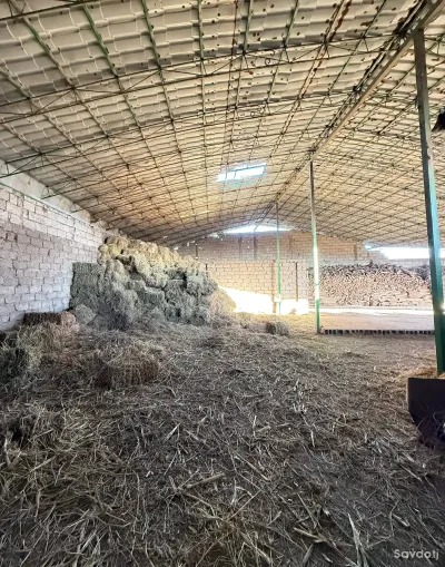 Продажа постройки с земельным участком 1700 сот.,Рудаки 4-рохаи партизан Комплекси Агросаноати
