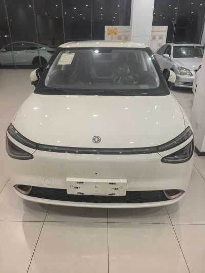Dongfeng Nammi 2025