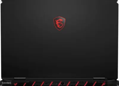 Игровой ноутбук MSI Raider