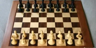 Шахматы